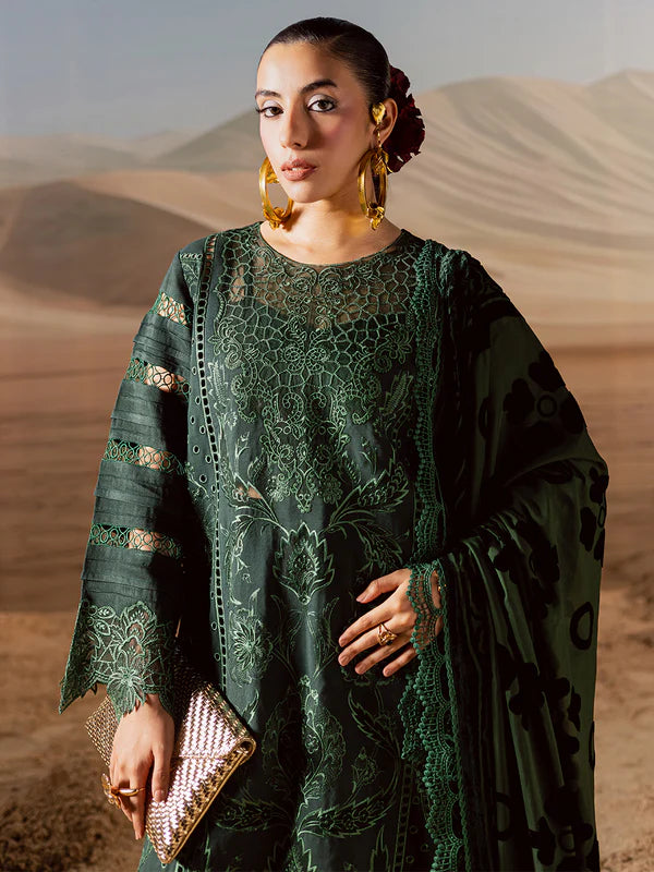 Amelia | Mahnur | Kotrai