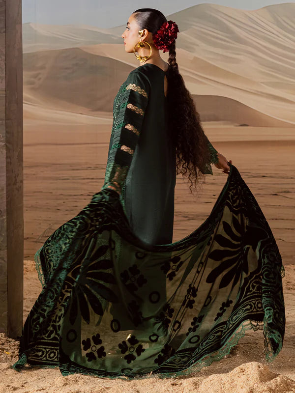 Amelia | Mahnur | Kotrai