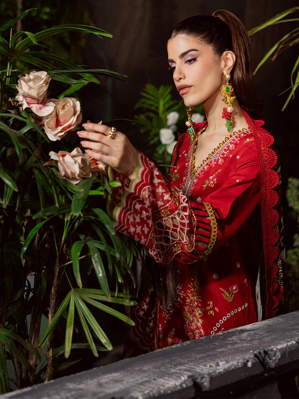 Amelia | Mahnur | Kotrai