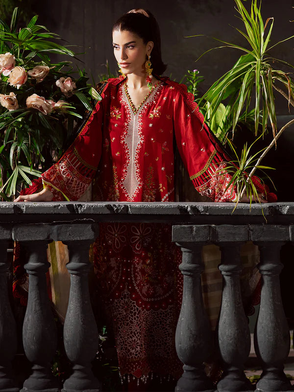 Amelia | Mahnur | Kotrai