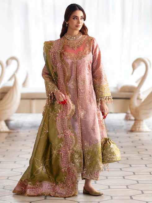Ranibagh | Parishay | Luxury organza
