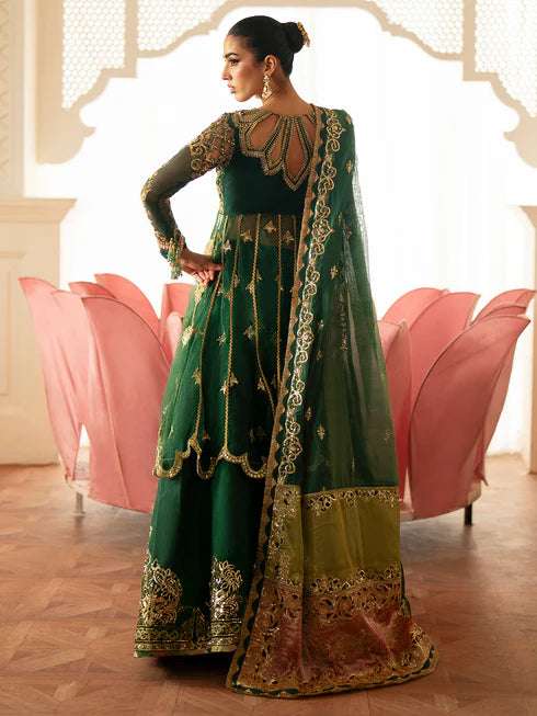 Ranibagh | Parishay | Luxury organza