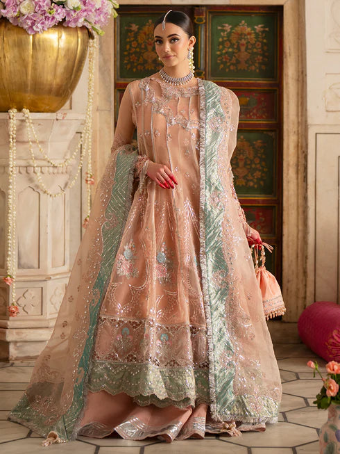 Ranibagh | Parishay | Luxury organza