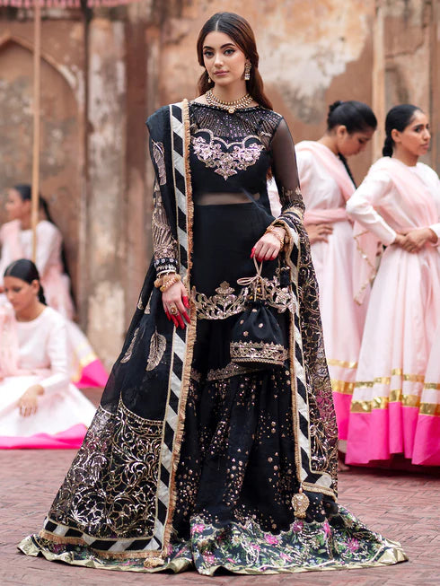 Ranibagh | Parishay | Luxury organza